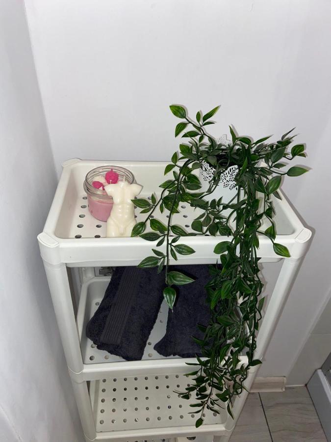 Apartament Grunwaldzka Bydgoszcz Eksteriør bilde